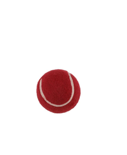 TON Mini Cricket Set | Kids Indoor Outdoor Sports Equipment with Bat, Ball and Stumps, Portable Play Combo