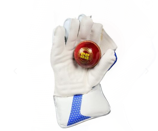TON Gutsy Wicket Keeping Gloves Men | Leather Palm & Enhanced Grip