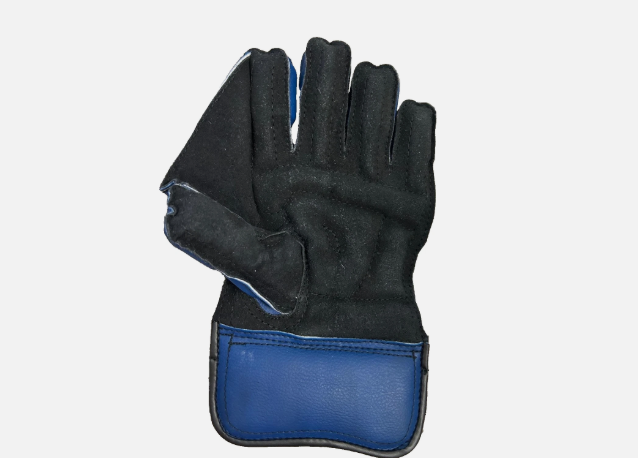 Wicket Keeping Gloves  - SS College | Youth | Pair | Cricket | Blue